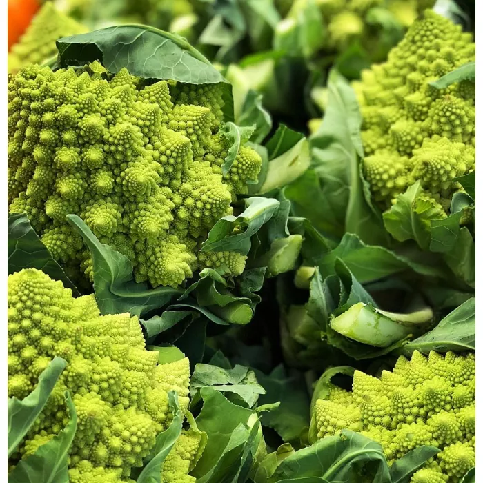 Cavolfiore romanesco