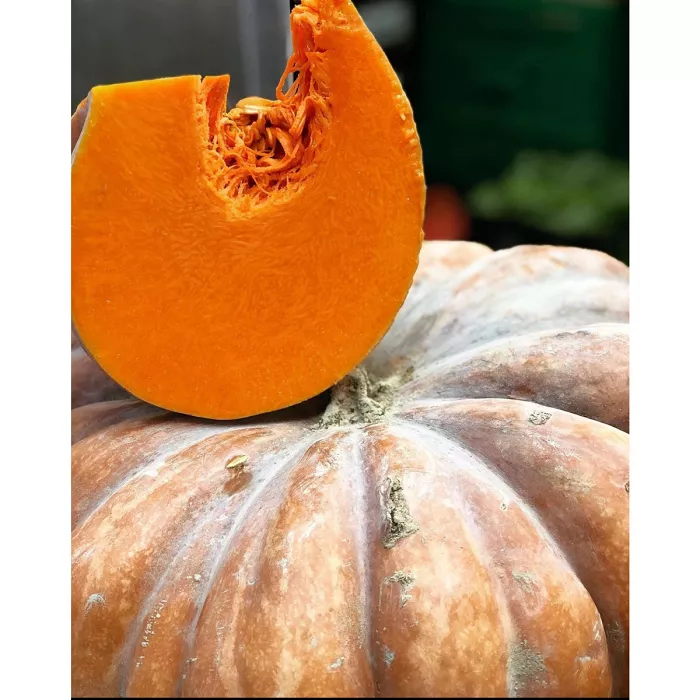 Zucca